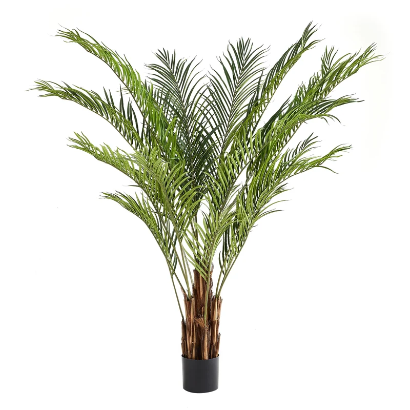Künstliche Kentia-Palme – Caliora | 210 cm