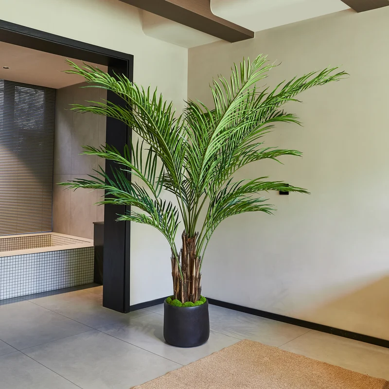 Künstliche Kentia-Palme – Caliora | 210 cm