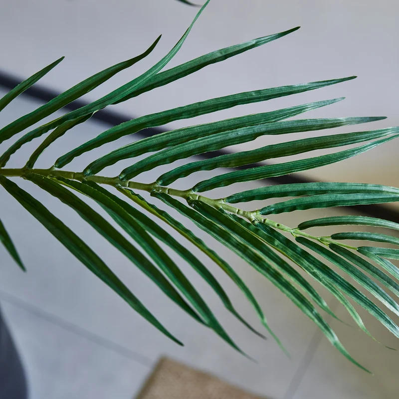 Künstliche Kentia-Palme – Caliora | 210 cm