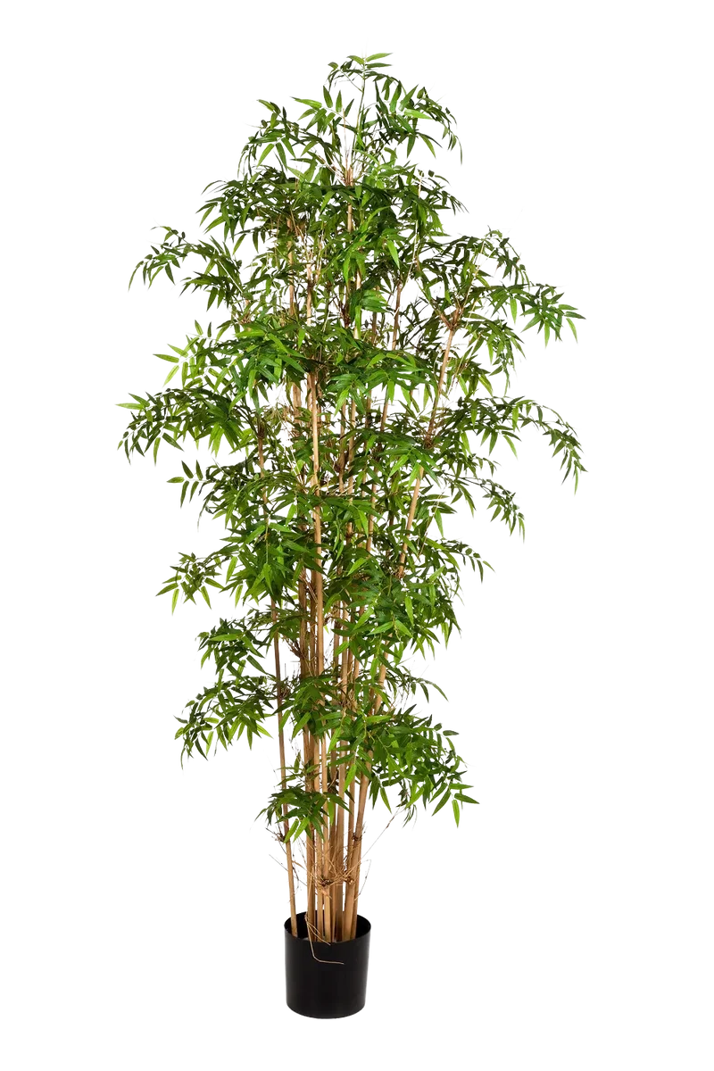 Künstlicher Bambus - Lucia | 110 cm
