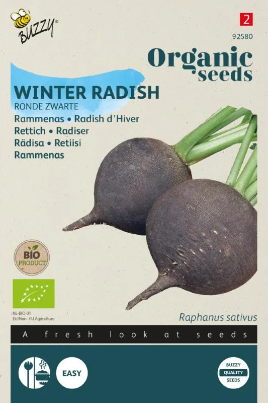 Rettich Runde Schwarze Samen BIO