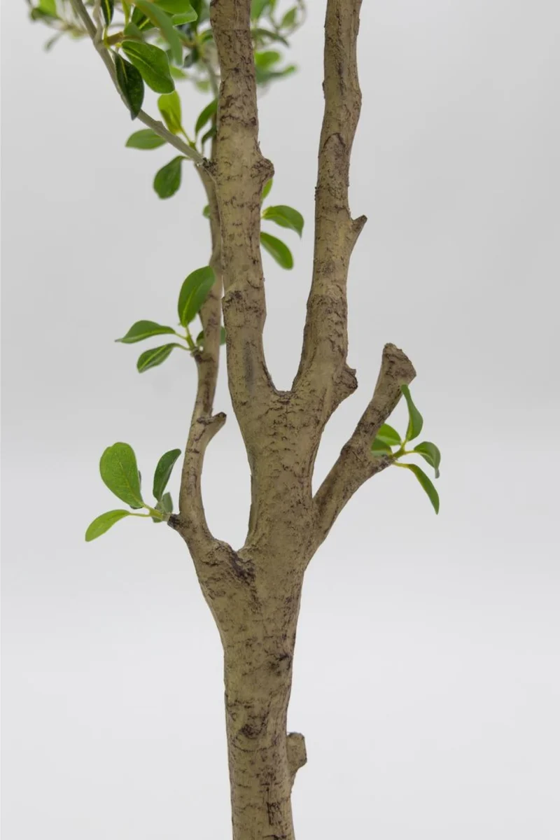 Shady Lady Künstlicher Olivenbaum 165cm