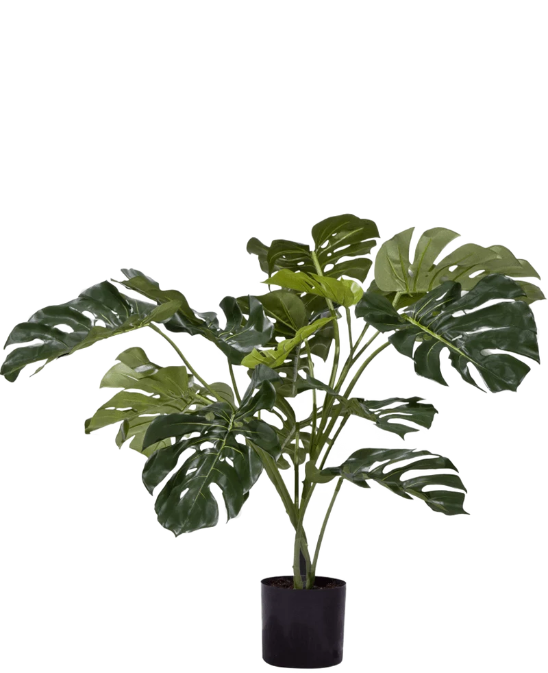 Kunstplant Monstera 85 cm