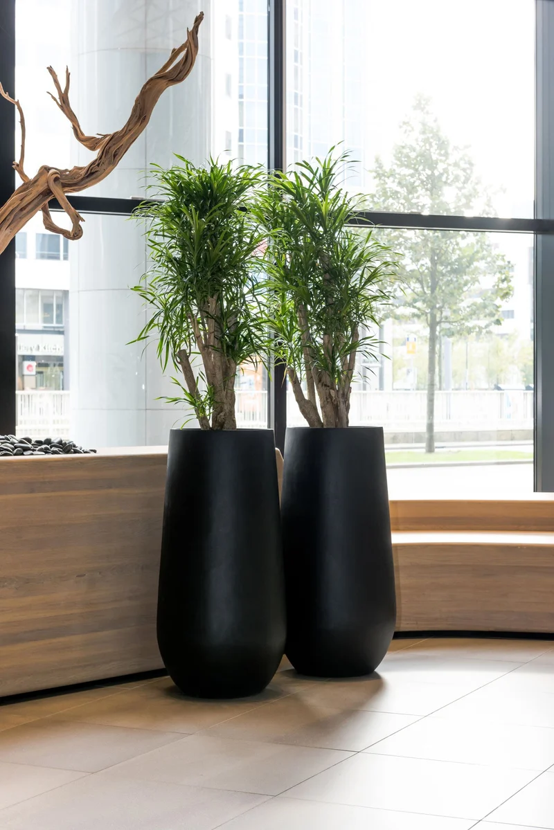 Pflanzkübel Nax Schwarz, Bodenvase aus Fiberstone