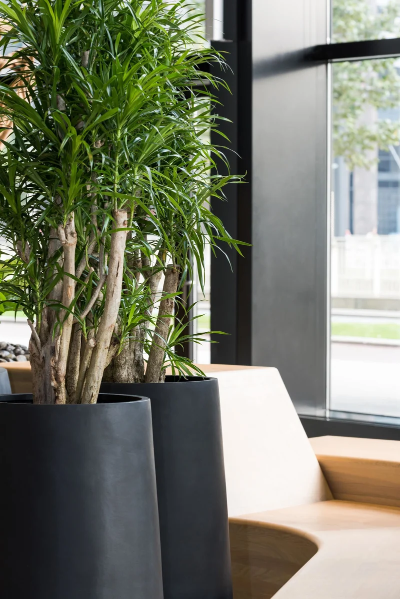 Pflanzkübel Nax Schwarz, Bodenvase aus Fiberstone