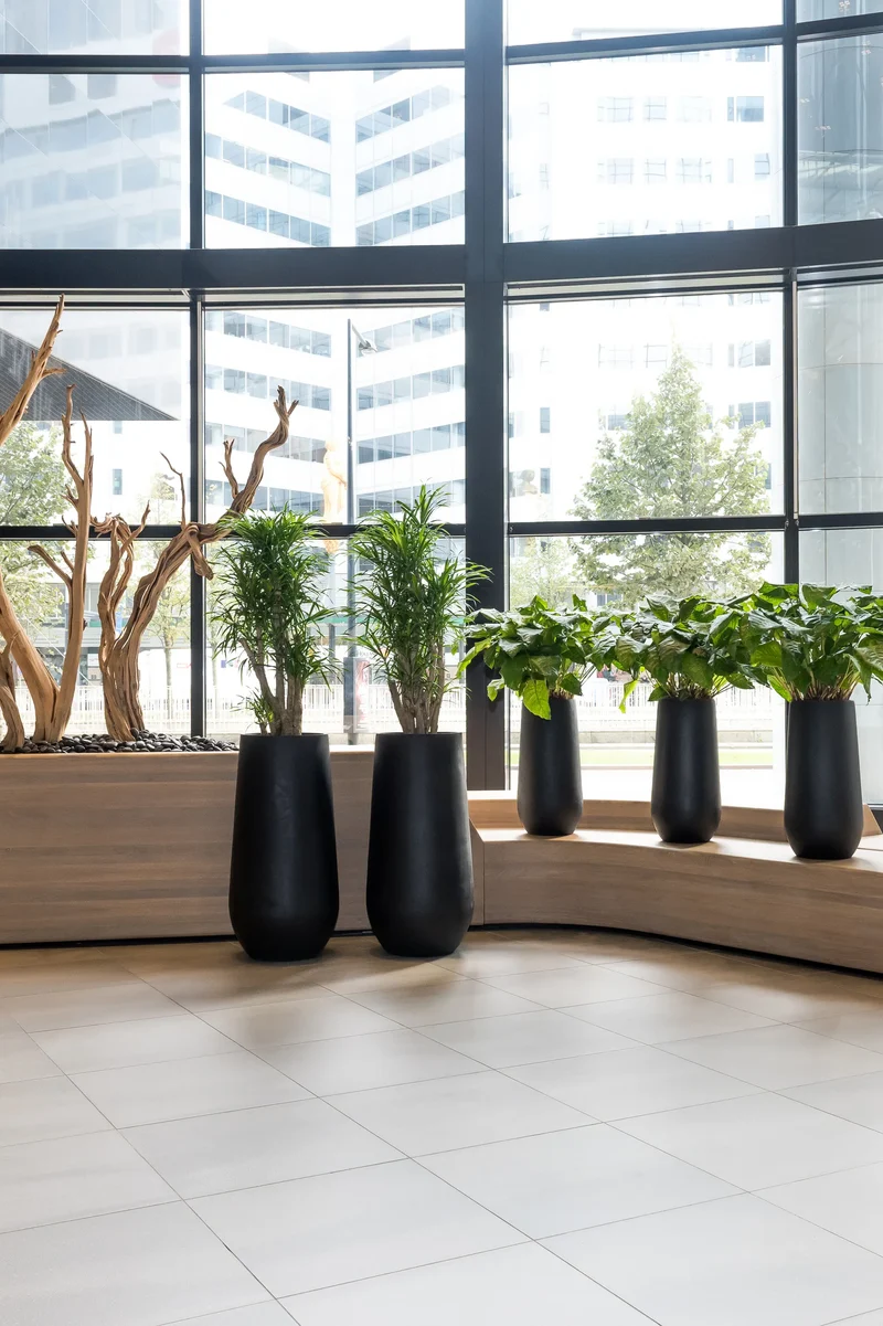 Pflanzkübel Nax Schwarz, Bodenvase aus Fiberstone