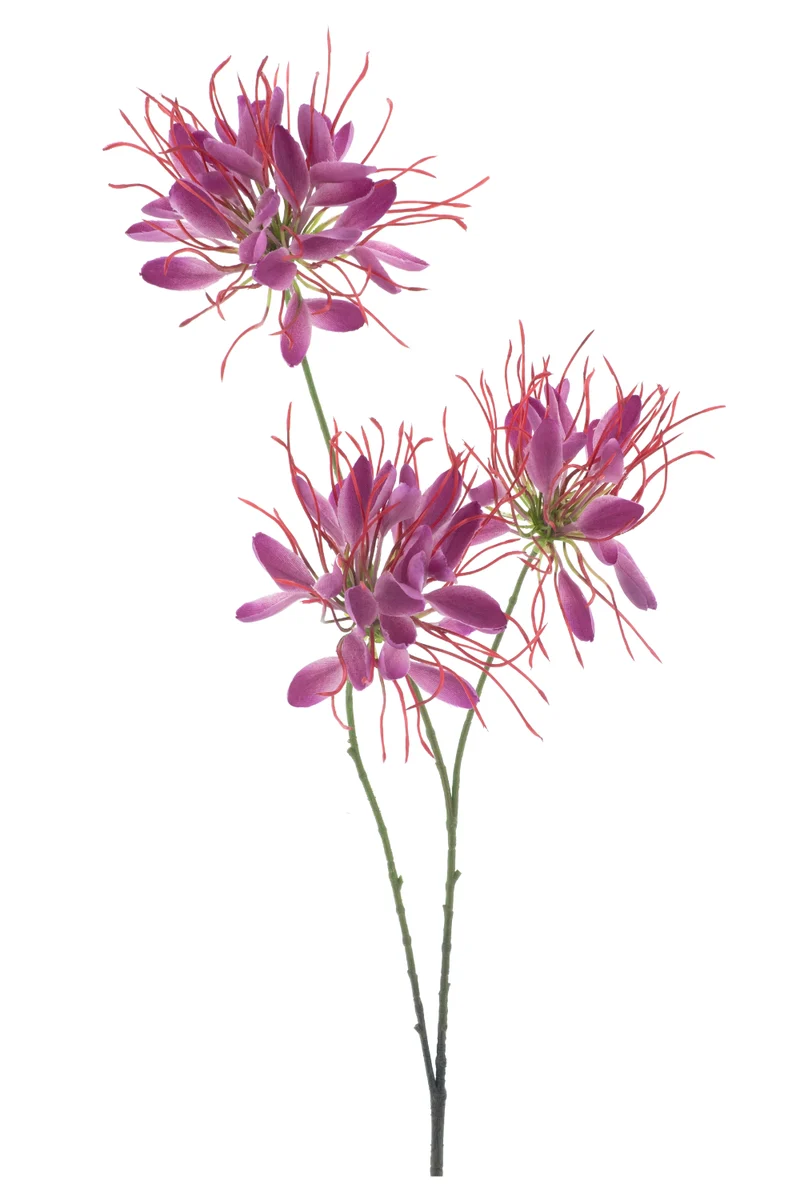 Künstliche Spinnenblume Rosa 94 cm