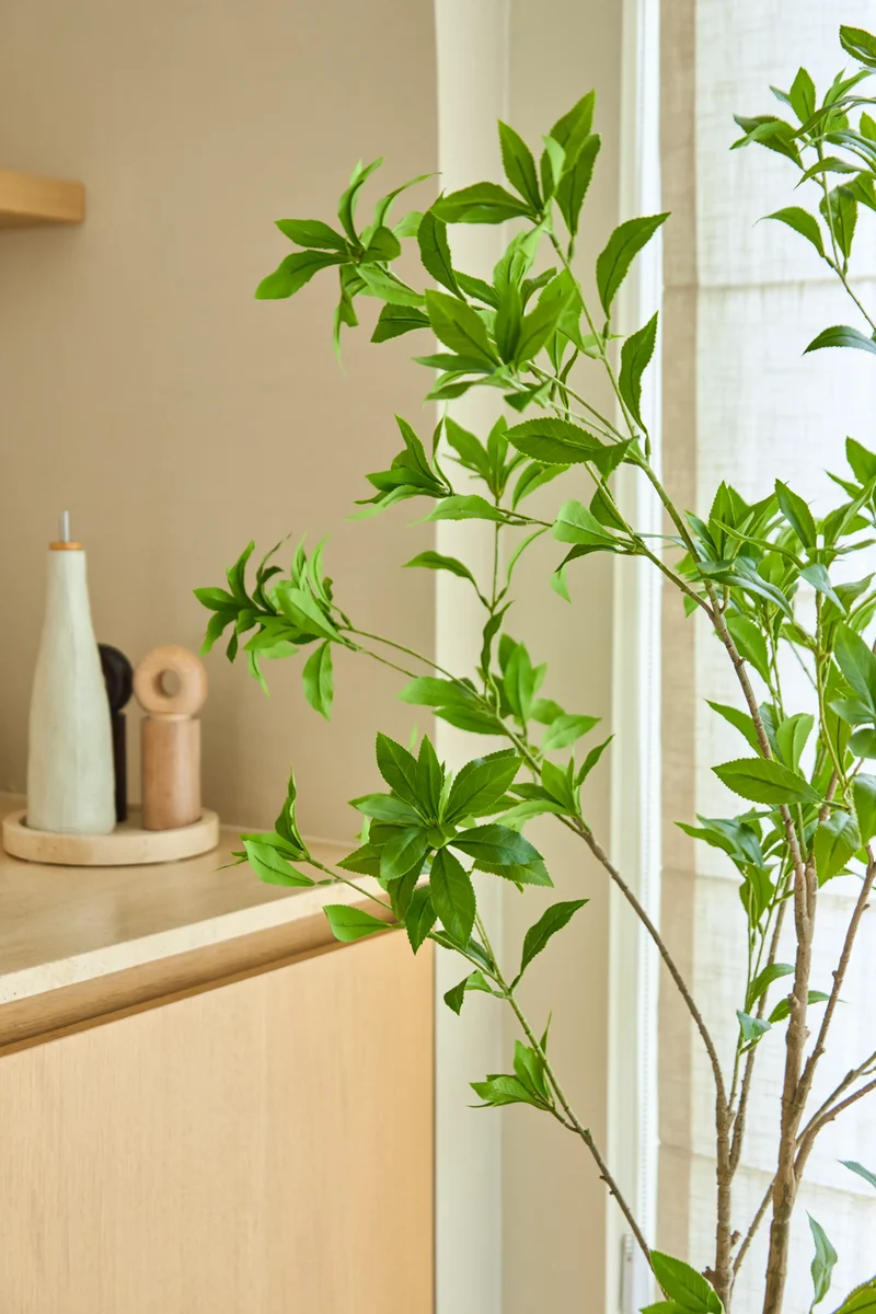 Kunstplant Pieris Japonica 210 cm