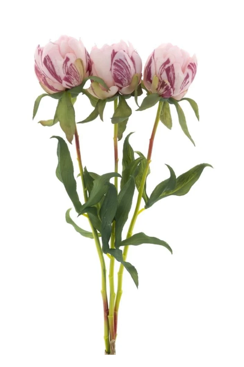 Pfingstrosenbündel 3-tlg. Rosa 48 cm