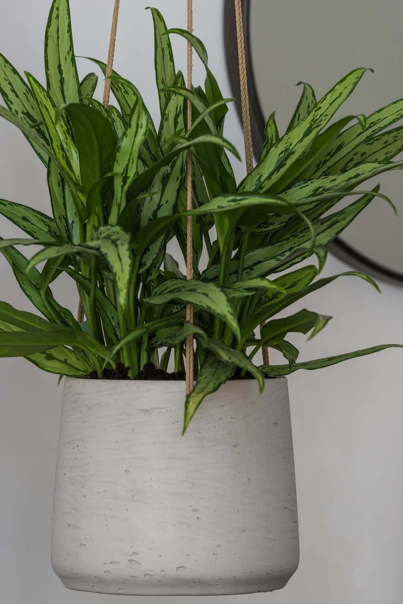 Blumenampel Patt Grau aus glasfaserverstärktem Ton