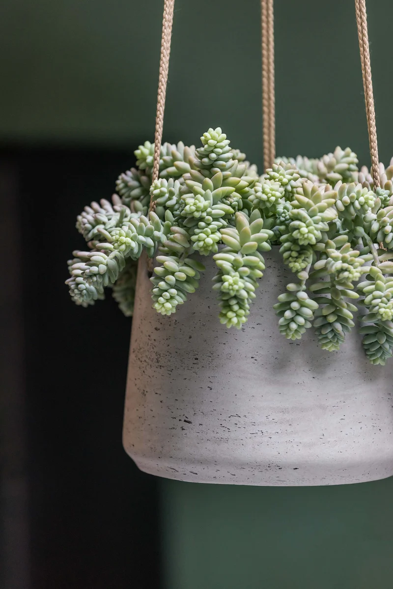 Blumenampel Patt Grau aus glasfaserverstärktem Ton