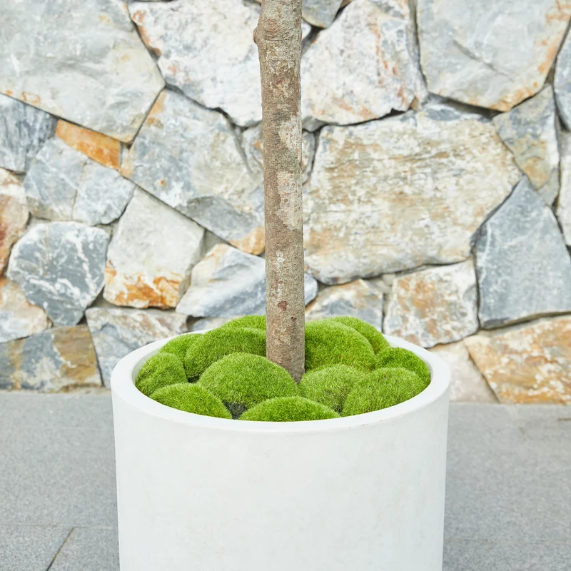 Künstlicher Olivenbaum – Thalior | 150 cm