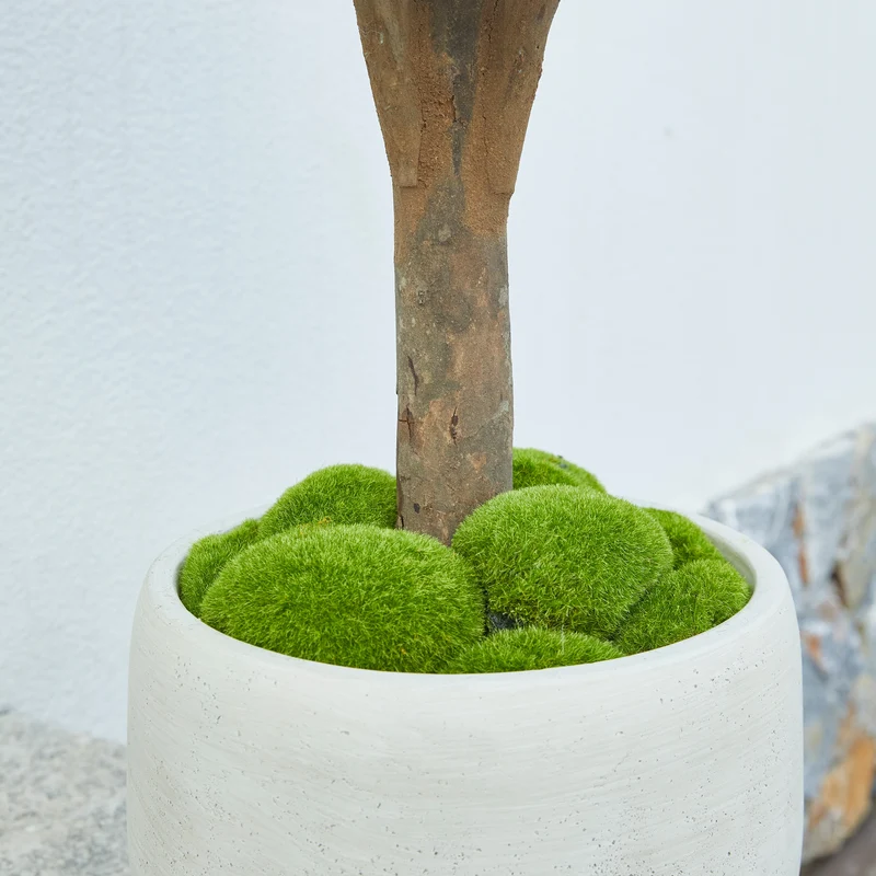 Künstlicher Olivenbaum – Nerio | 75 cm