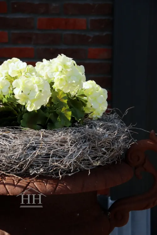Franse geranium kunstplant creme- 36 cm - UV & Water bestendig