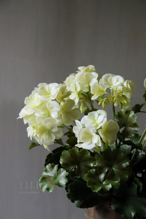 Franse geranium kunstplant creme- 36 cm - UV & Water bestendig