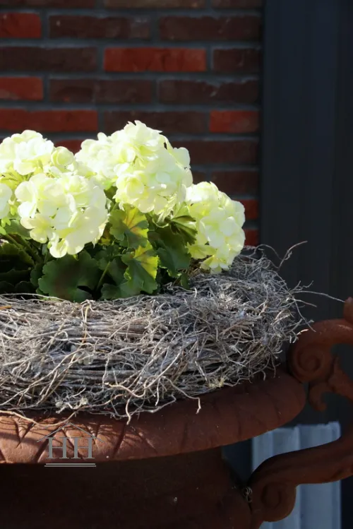 Franse geranium kunstplant creme- 36 cm - UV & Water bestendig