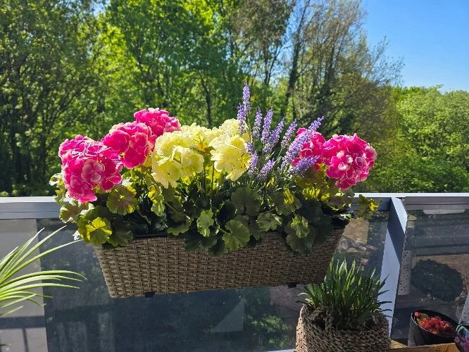 Franse geranium kunstplant creme- 36 cm - UV & Water bestendig
