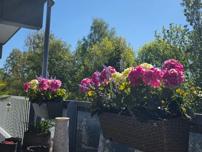 Franse geranium kunstplant creme- 36 cm - UV & Water bestendig