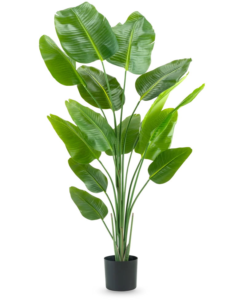Künstliche Pflanze Strelitzia 180 cm real touch