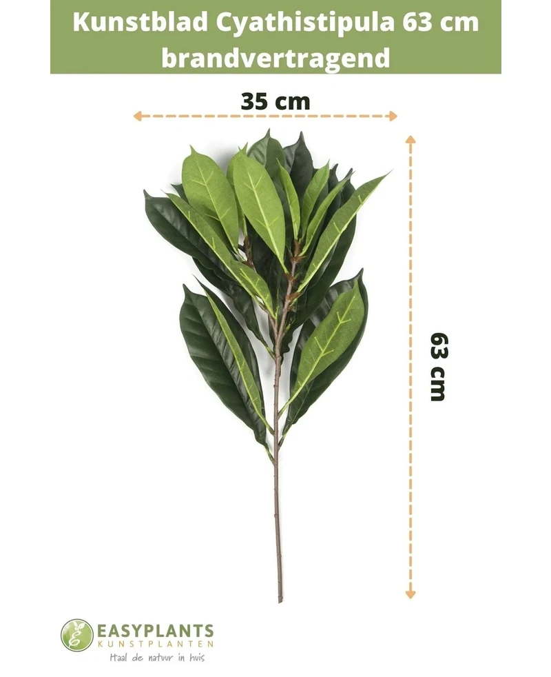 Kunstblad Cyathistipula 63 cm brandvertragend