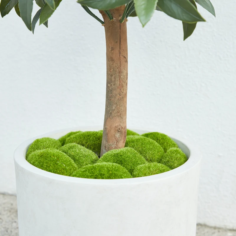 Künstlicher Lorbeerbaum – Alarion | 150 cm