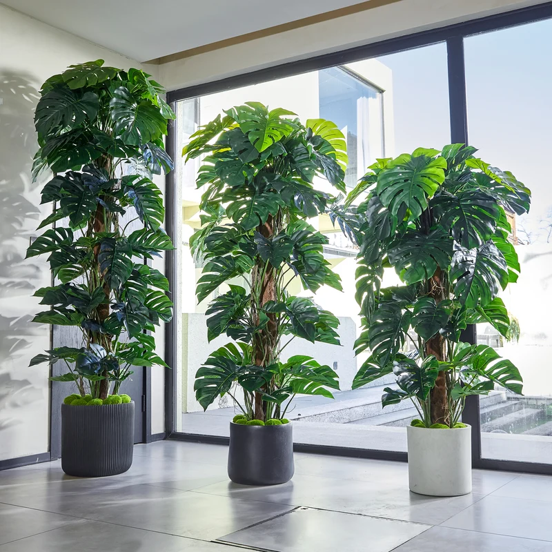 Künstlicher Split-Philodendron – Zephira | 160 cm
