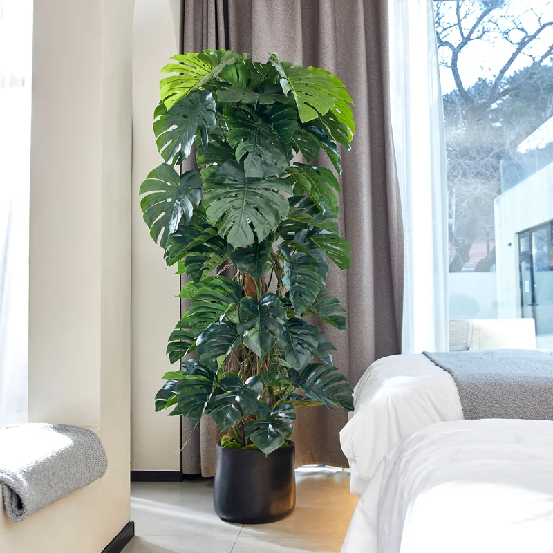Künstlicher Split-Philodendron – Zephira | 190 cm