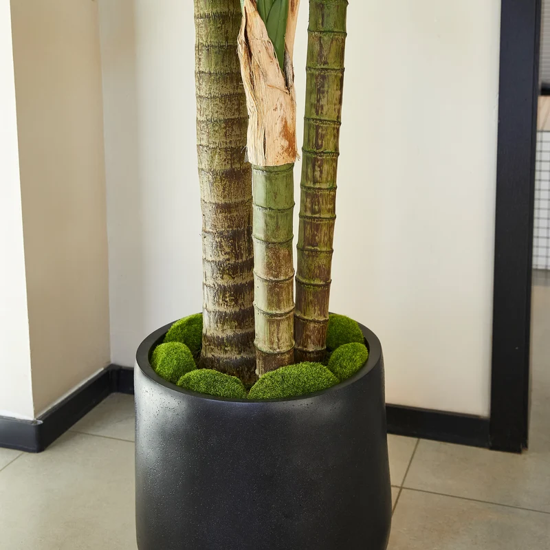 Künstliche Goldfruchtpalme – Elion | 180 cm