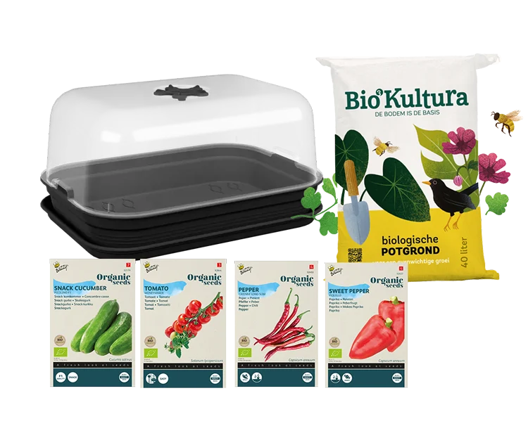 Starterkit Gemüsegarten – Paprika, Gurke, Tomate, Pfeffer