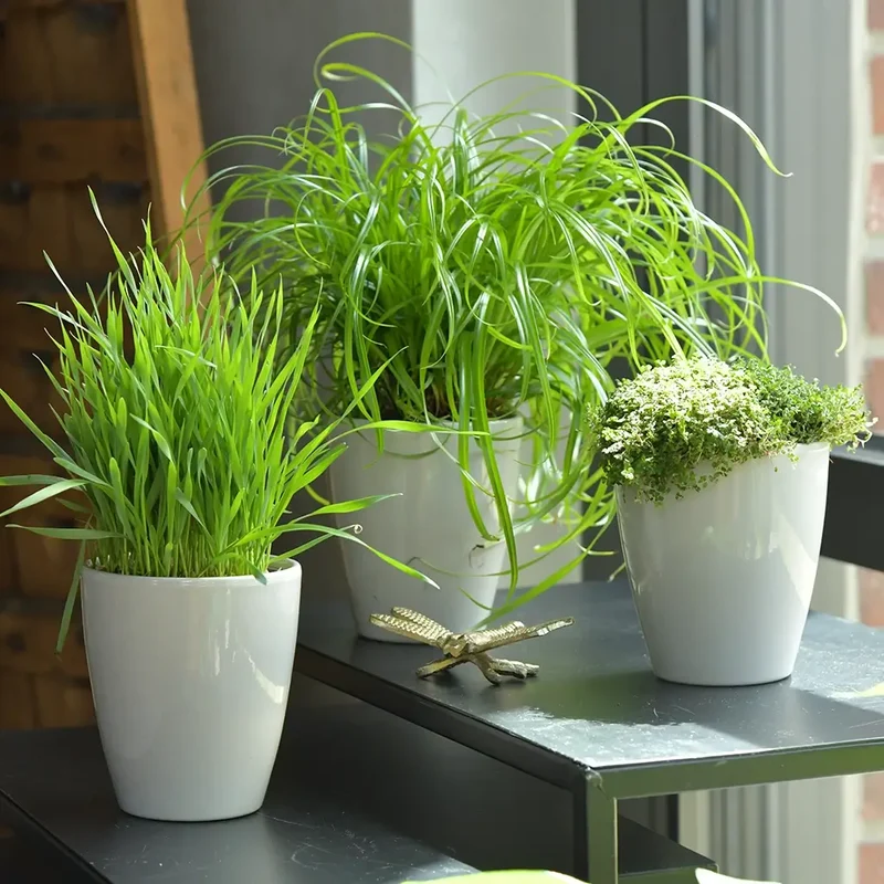 3er Set Keramiktopf Cynthia 12cm Warmes Grau