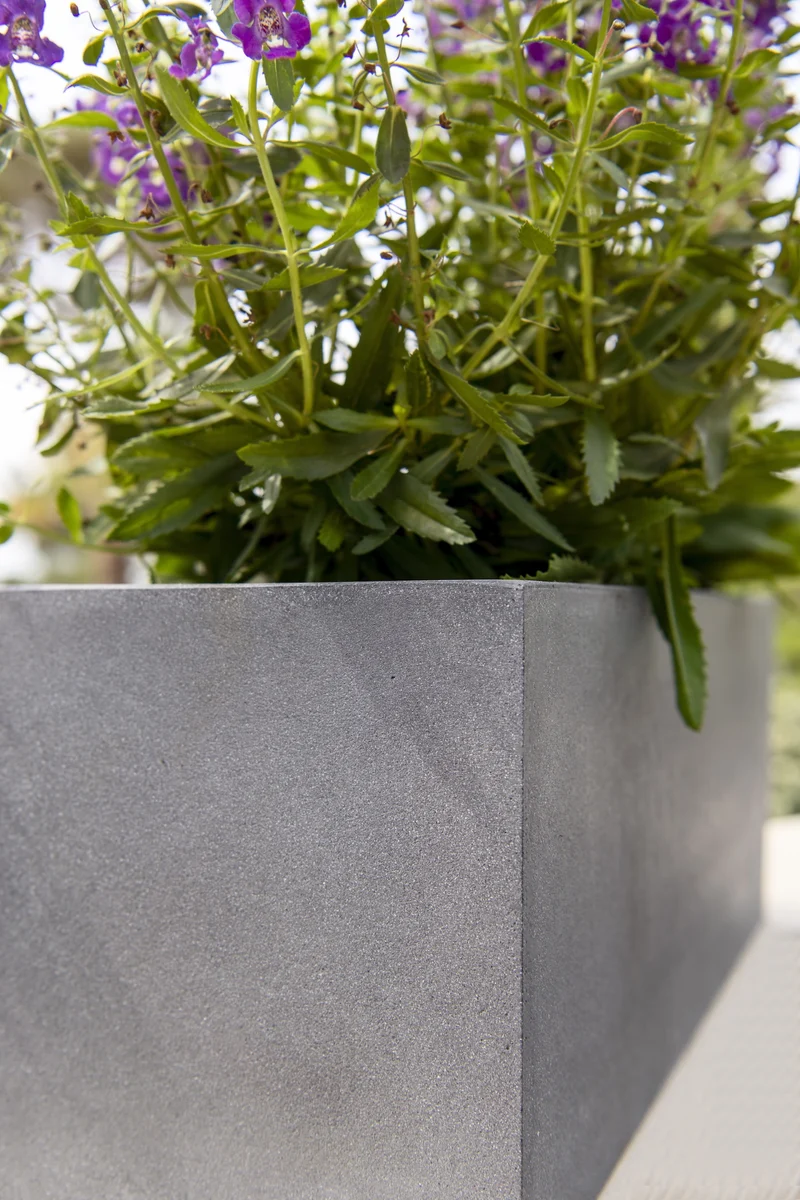 Frostfester Blumenkasten Balcony Grau