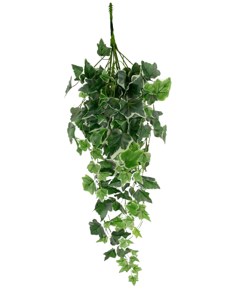 Künstlicher Efeu 70 cm grün/weiß