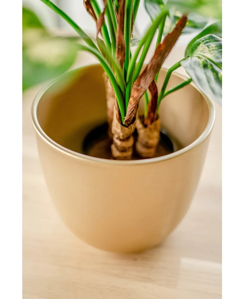 Kunstplant Dieffenbachia 40 cm