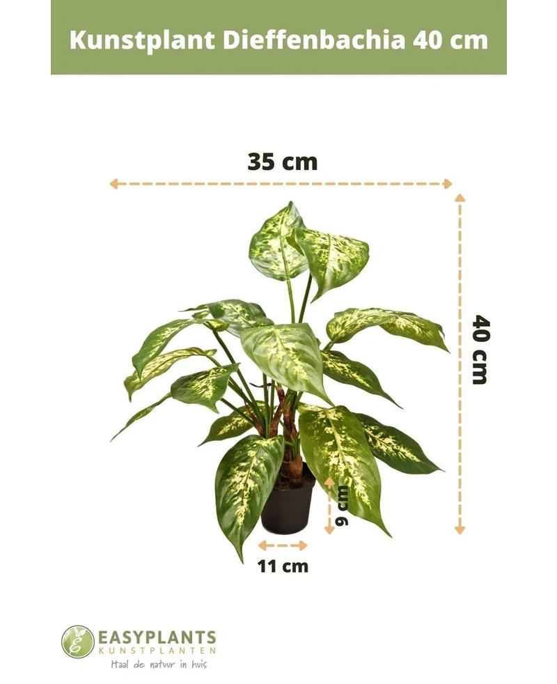 Kunstplant Dieffenbachia 40 cm