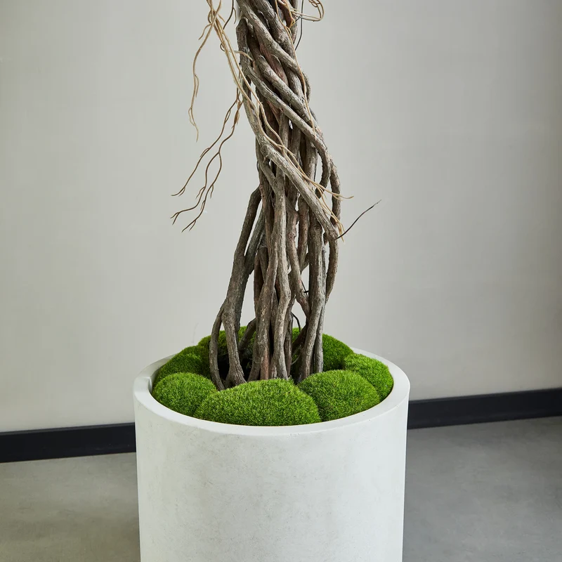 Künstlicher Ficus – Seraphius | 180 cm