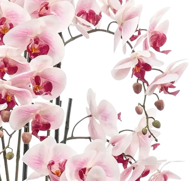 Künstliche Orchidee - Leo | 100 cm