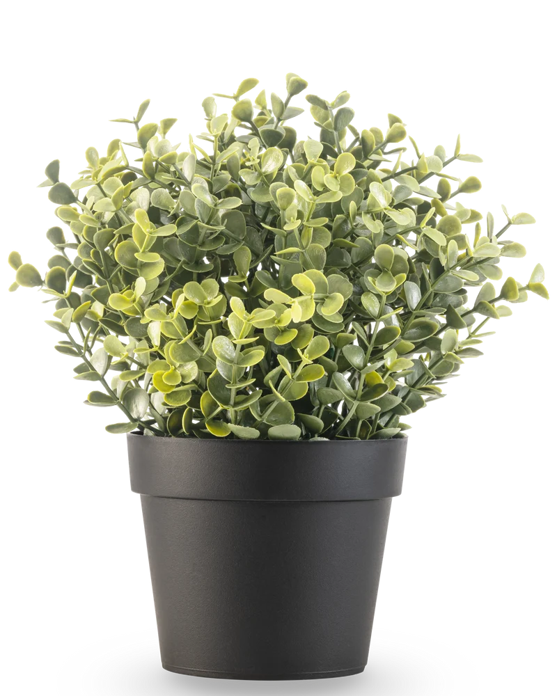 Kunstpflanze Buxus grün im Topf 19 cm UV