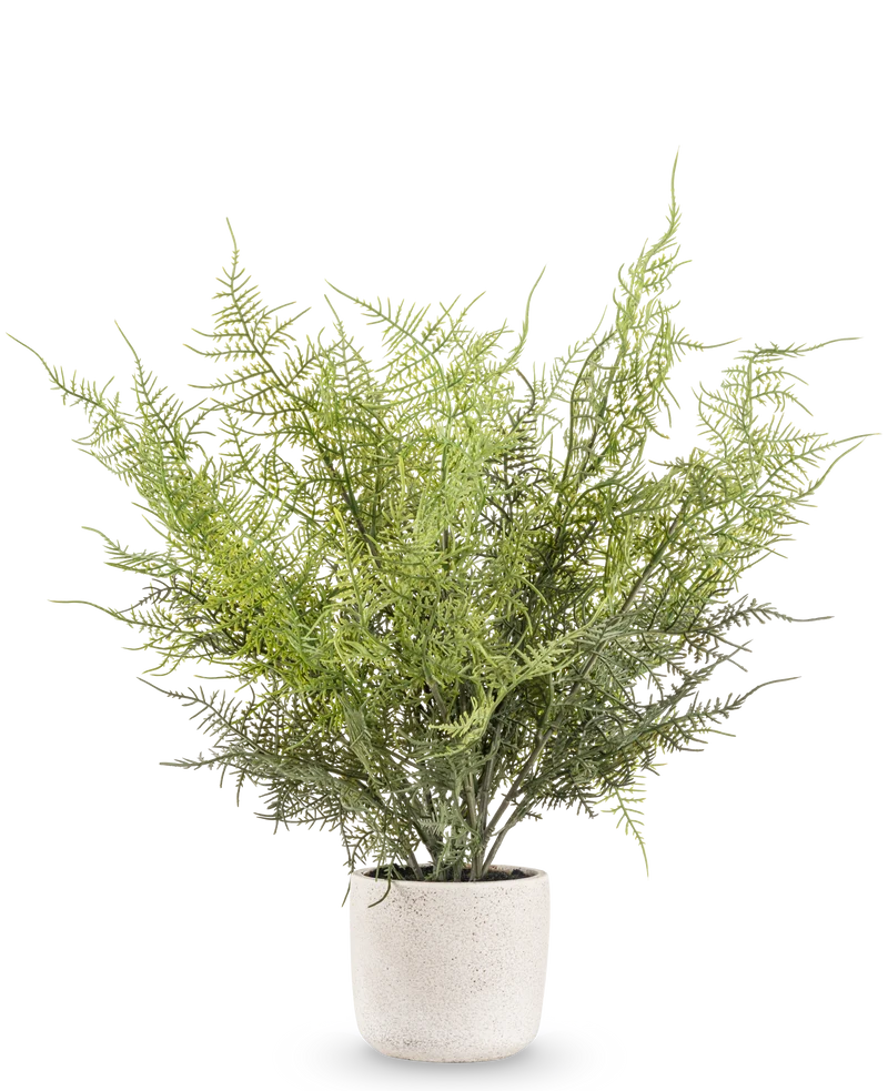 Kunstpflanze Spargel 43 cm im Ziertopf