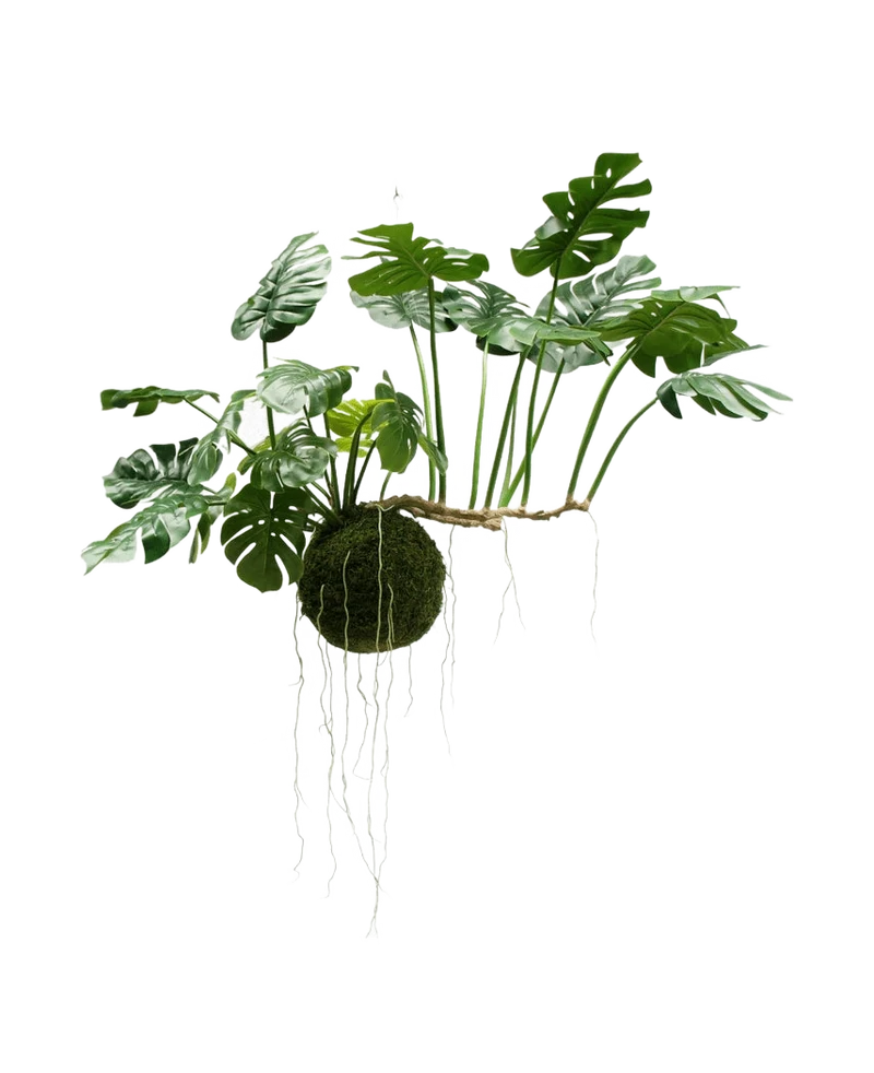 Künstliche Hängepflanze Monstera Deluxe 80 cm
