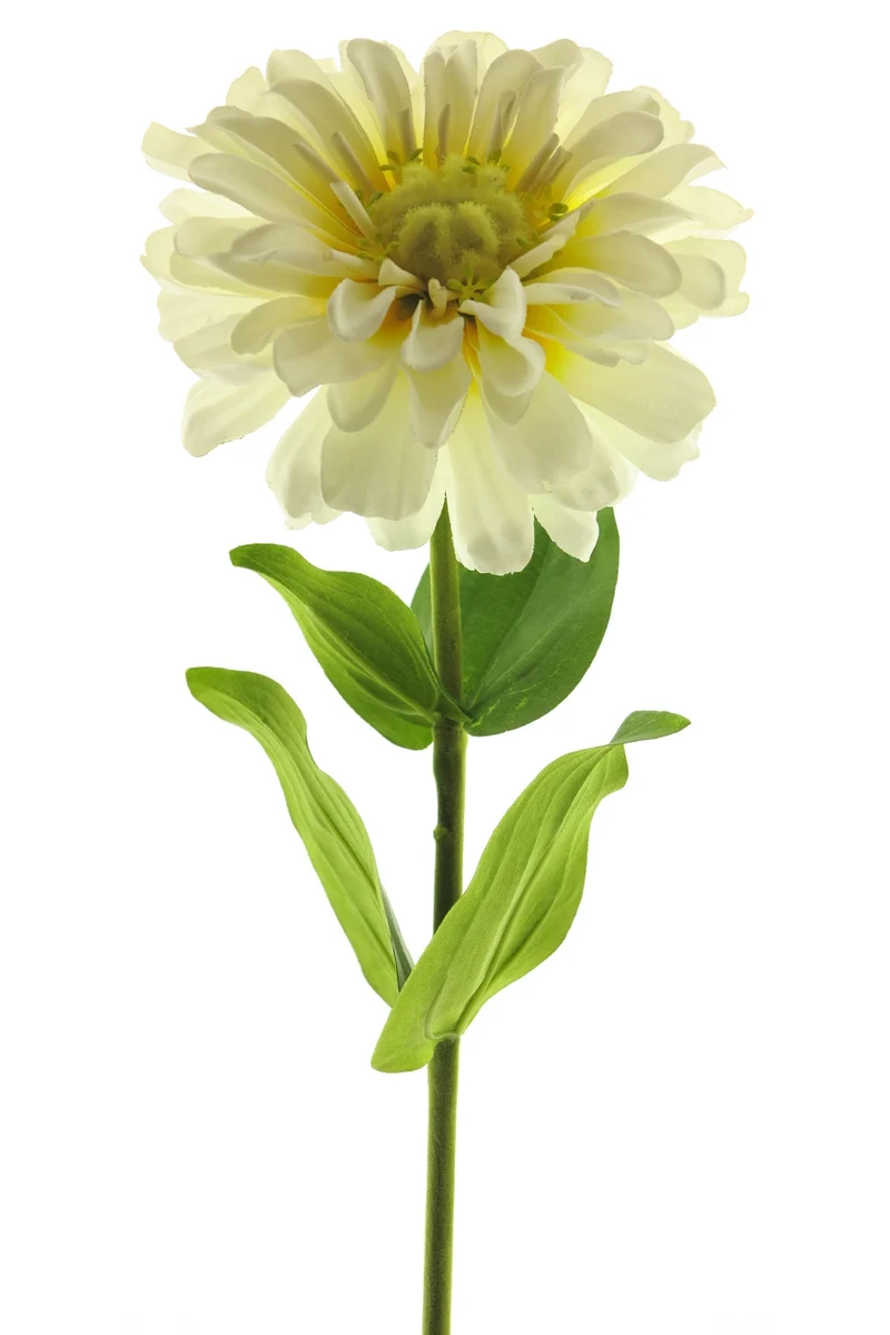 Zinnie Kunstblume 58 cm Creme