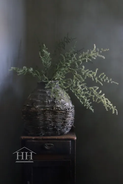 Wilde asparagus kunsttak - 73 cm