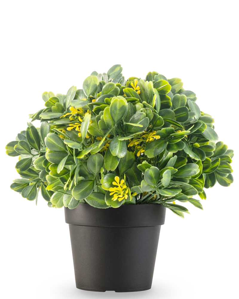 Künstliche Pflanze Grün/Weiß 21 cm UV