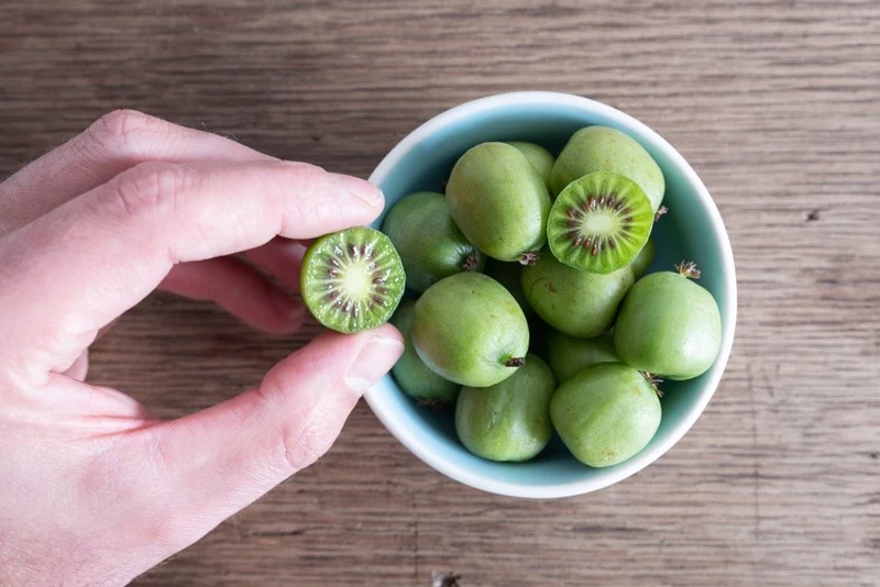 Kiwibeere (Actinidia issai) (M)