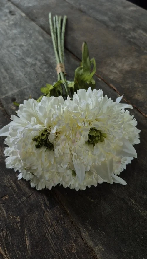 Calendula boeket wit 49 cm - 5 stelen