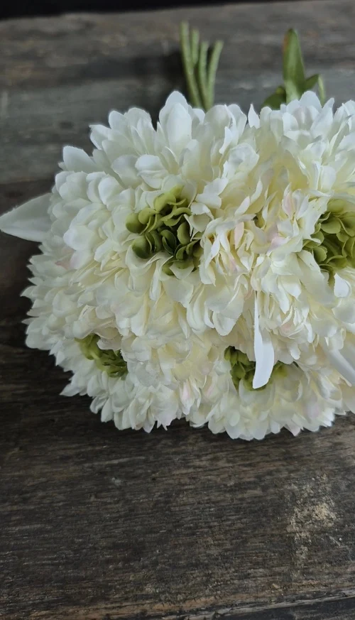 Calendula boeket wit 49 cm - 5 stelen