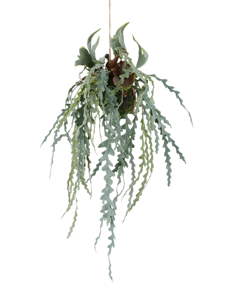 Künstliche Pflanze Hertshoornblad 61 cm in Hangenpot