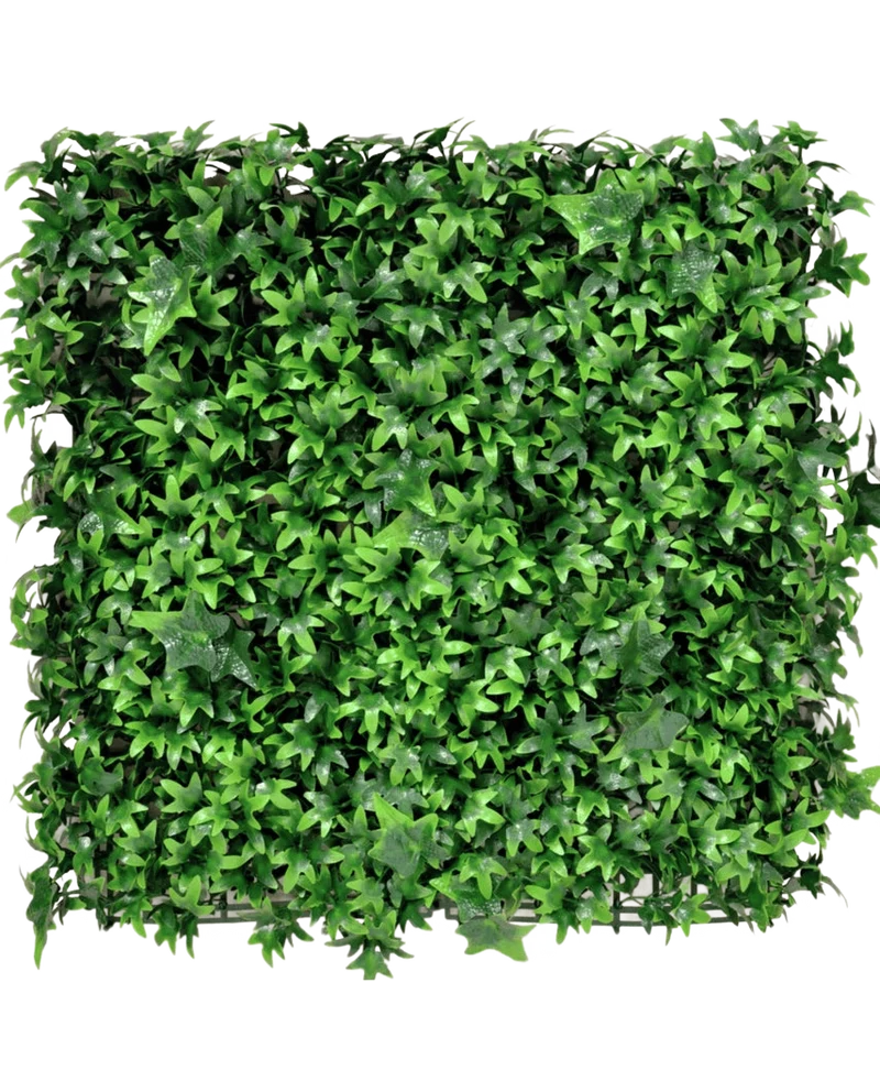 Kunstpflanzen Wand Efeu 50x50 cm UV