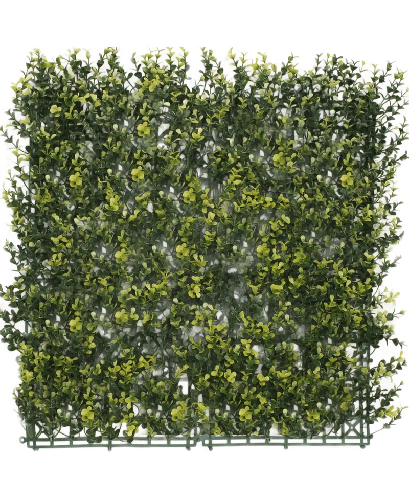 Kunstpflanzen Wand Buxus gelb 50x50 cm UV
