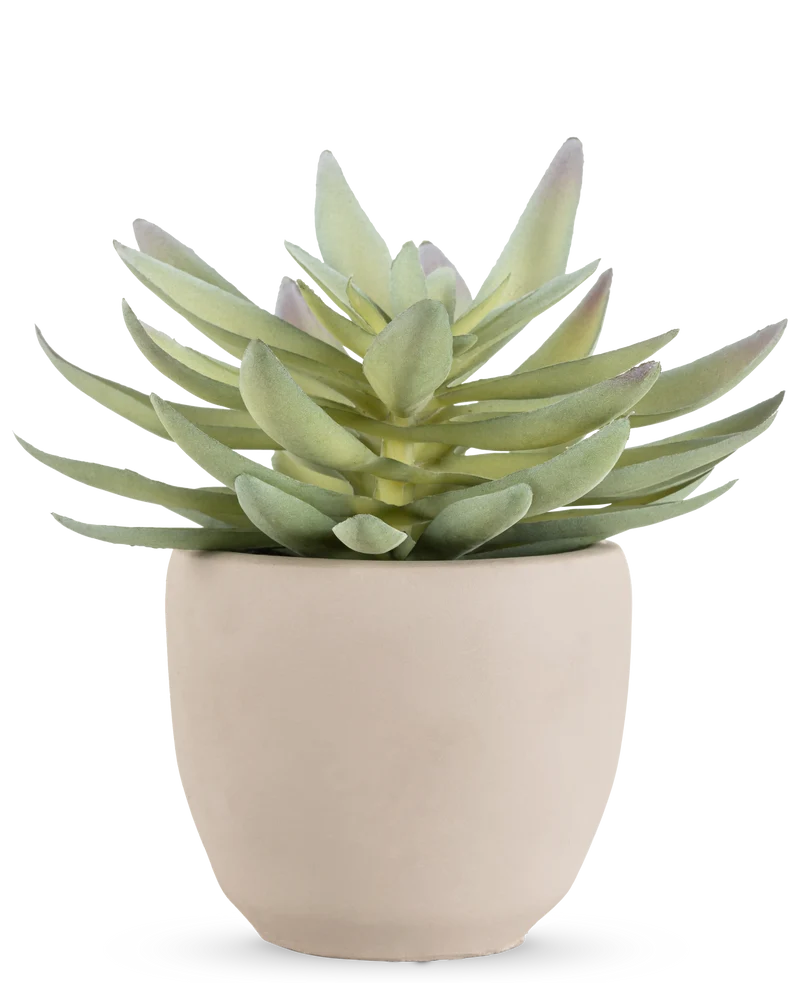 Künstliche Sukkulente 18 cm