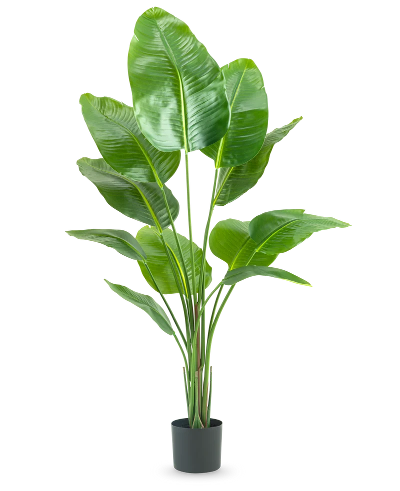Künstliche Pflanze Strelitzia 150 cm real touch